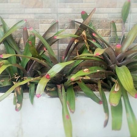 Homestay Bumi Asri III Cikutra Bandung Exterior foto